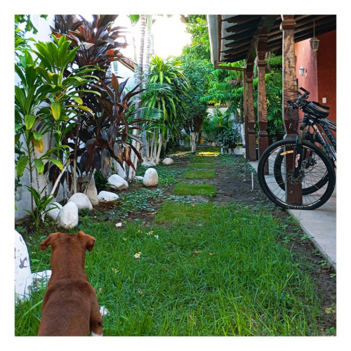 Zona Norte Residence - Gallery - 16