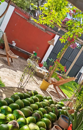 Zona Norte Residence - Gallery - 11
