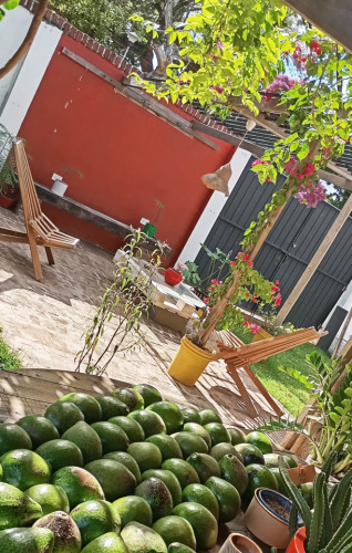 Zona Norte Residence - Gallery - 78