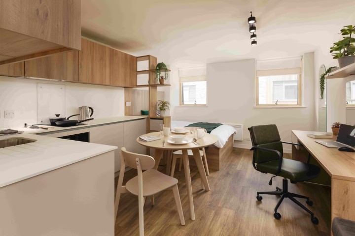 Studio Silver (new Style) - Panmure Court Roost - Gallery - 2
