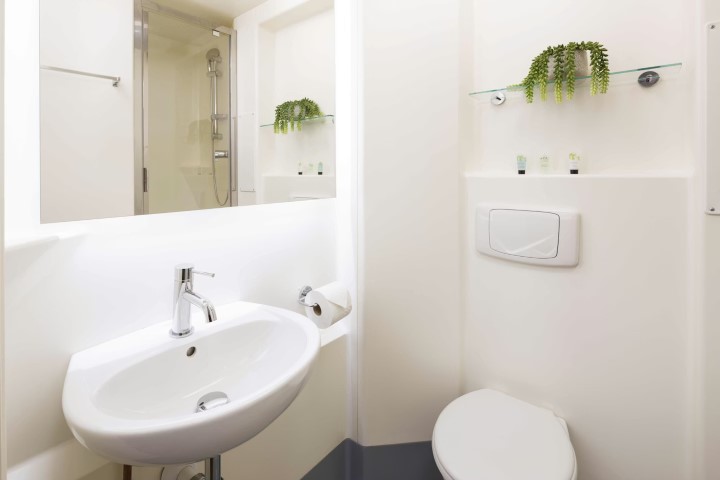  Studio Silver Plus  -  Panmure Court Roost  - Gallery -  3