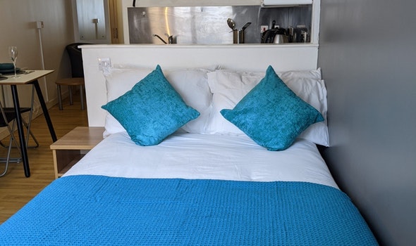  Studio Bronze  -  Panmure Court Roost  - Gallery -  1