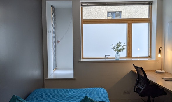 Studio Bronze - Panmure Court Roost - Gallery - 2