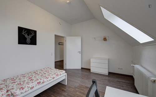 Warm single bedroom in Veielbrunnen