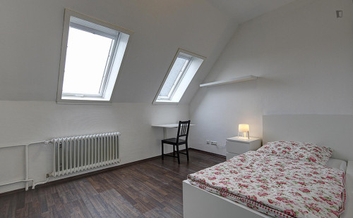 Warm single bedroom in Veielbrunnen