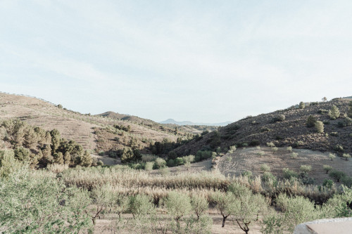 Serene Coliving Retreat in Nature with Amenities for Remote Workers in Lorca