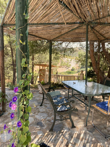 Diseminado Jarales Home - Gallery - 117