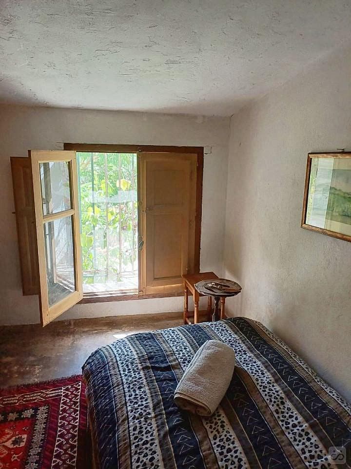 Small Room, Almond Tree - 22