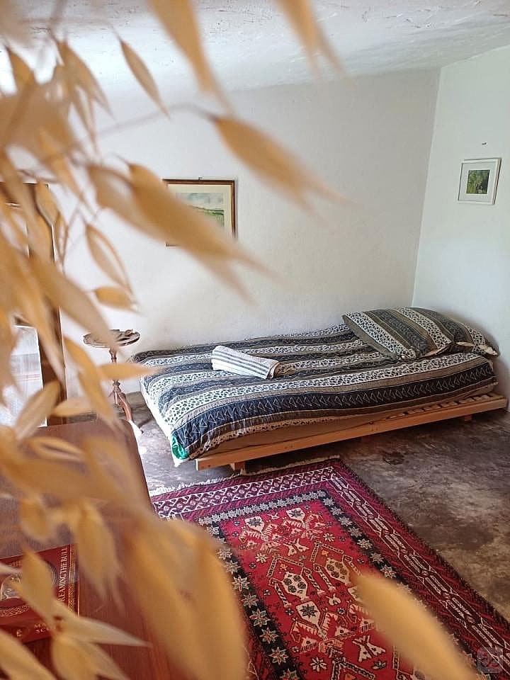 Small Room, Almond Tree - 24