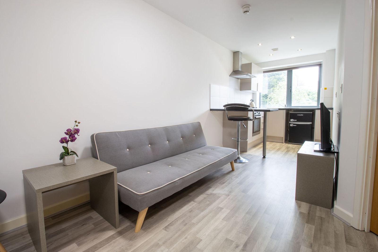  Apartment  -  Trinity Hall Apartments  - Gallery -  4