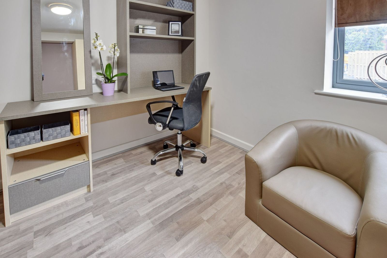  Apartment Premium  -  Trinity Hall Apartments  - Gallery -  5