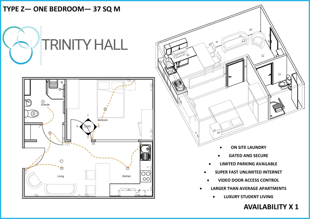  Apartment Premium  -  Trinity Hall Apartments  - Gallery -  7