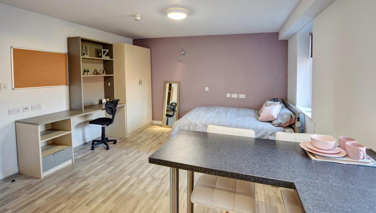  Studio Premium  -  Trinity Hall Apartments  - Gallery -  4