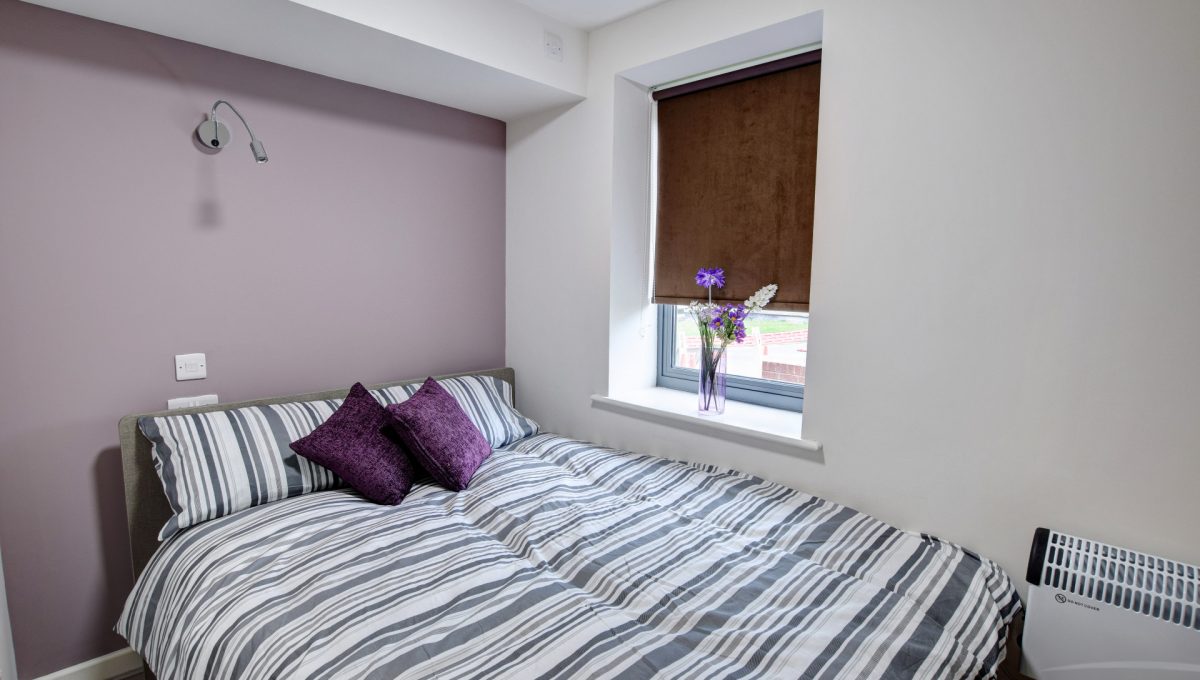  Studio Premium Deluxe  -  Trinity Hall Apartments  - Gallery -  10