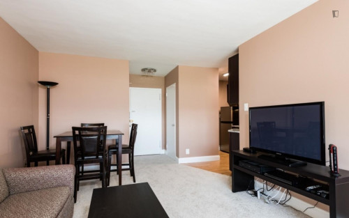 Welcoming 1-bedroom apartment in Rosslyn