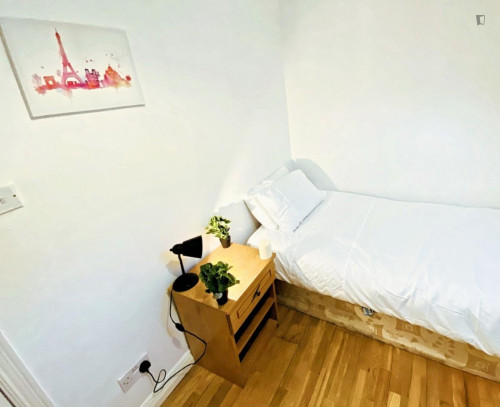 Snug Single bedroom in the heart of Cork - Gallery - 3