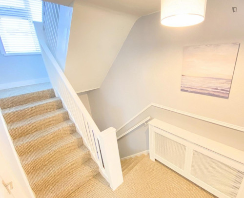 Comfy single bedroom near University College Cork