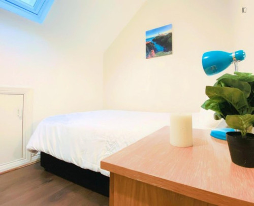 Comfy Single bedroom near University College Cork