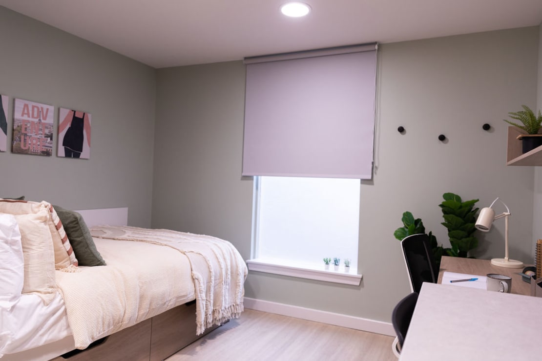  Superior Plus Studio  -  Norton’s Student Living  - Gallery -  3