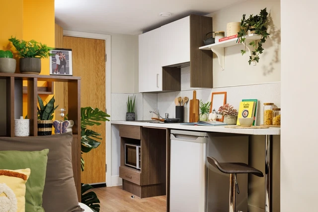  Extra Large Standard Double Studio  -  Sugarhouse Close Unite  - Gallery -  2