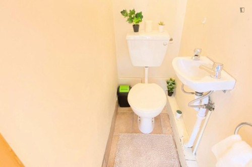 Bed in a welcoming twin ensuite male bedroom, near University College Cork - Gallery - 12