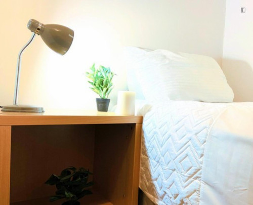 Homely Single bedroom close to University College Cork - Gallery - 3