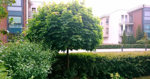 Beautiful 1-bedroom flat in Stara Iwiczna - Gallery - 6