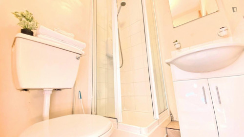 Pleasant single ensuite bedroom near University College Cork