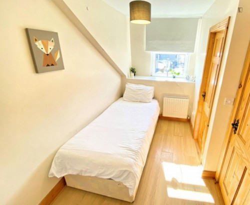 Pleasant single ensuite bedroom near University College Cork
