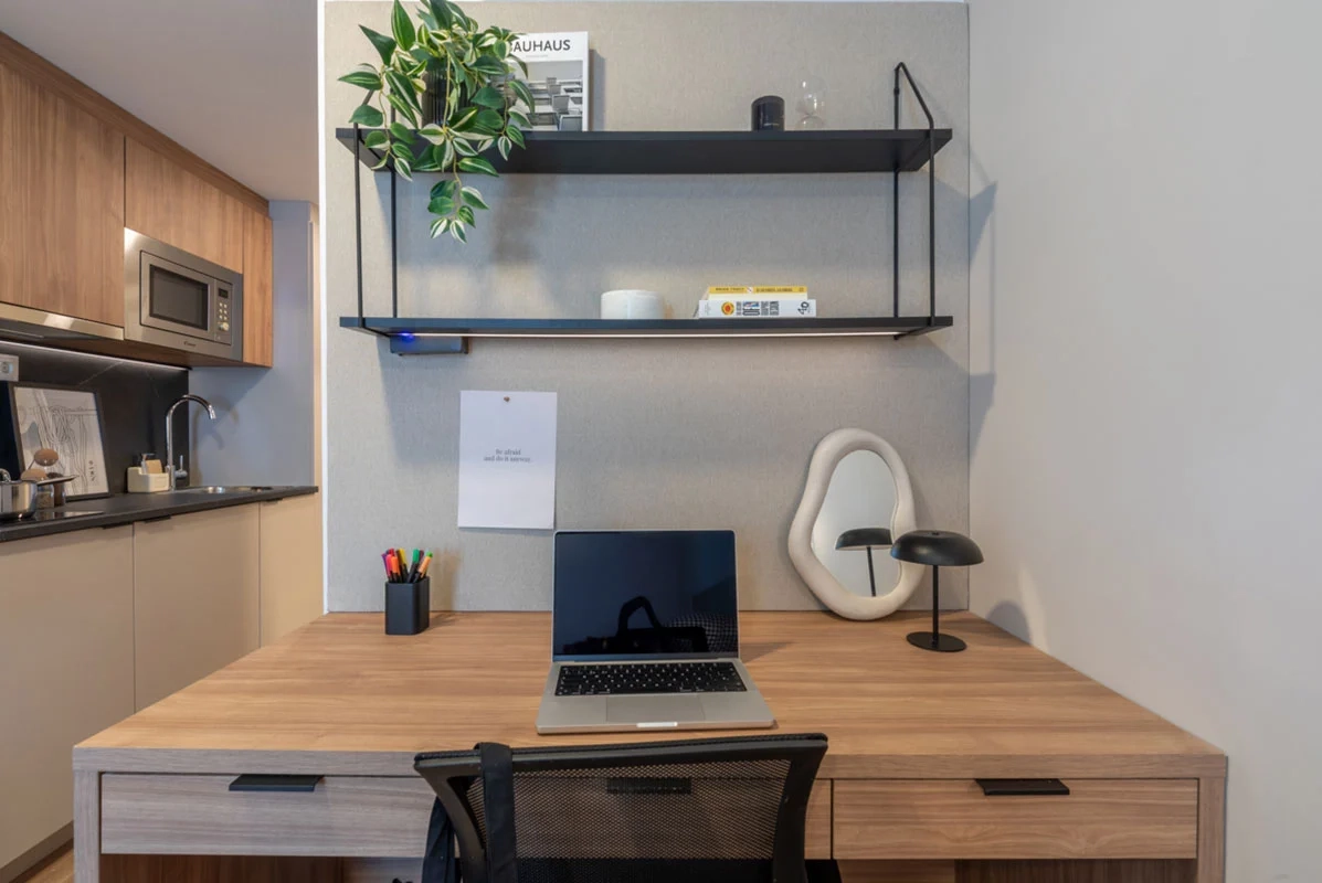 Studio Standard Kitchen With Terrace - 4