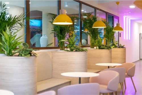 Social Area