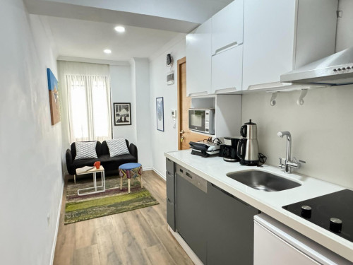 Cute mini 1-bedroom apt. in Taksim