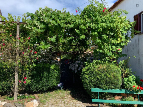Comfy and cosy house in Castanheira, Leiria - Gallery - 12
