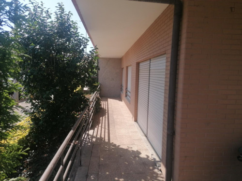 Cozy Single Bedroom close to Lavandeira Park