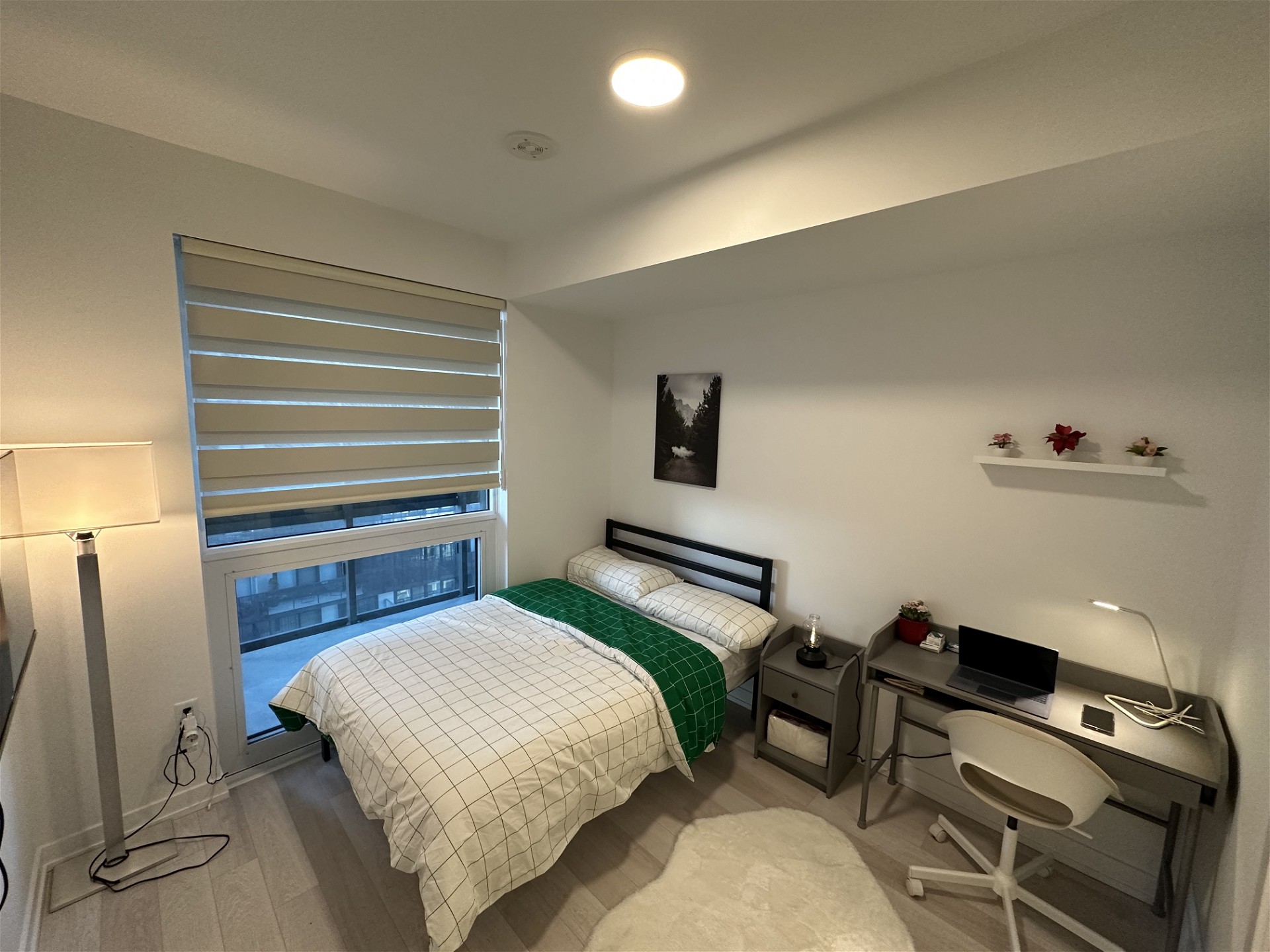 Roehampton St - Gallery - 7