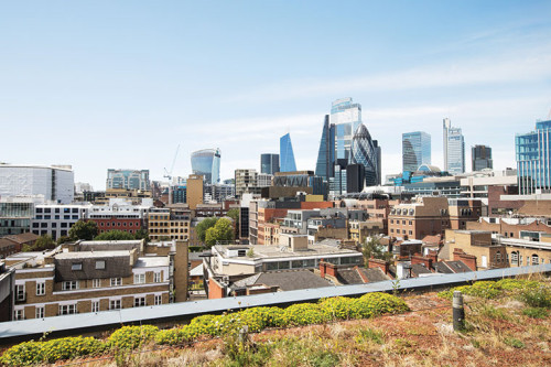 Londonist - Drapery Place