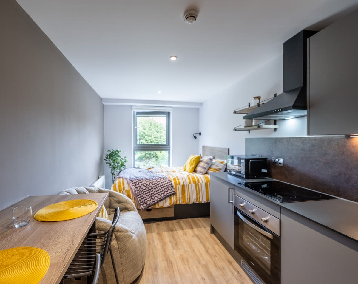 Club Studio - Murieston Crescent – Edinburgh - Gallery - 7