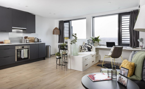 White Rose View - Rooms