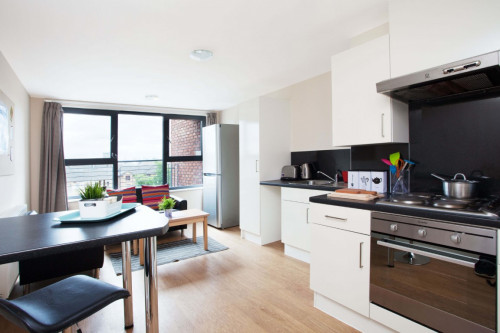  Large Standard Double En-Suite: Three Bedroom Flat  -  Kelvin Court Unite  - Gallery -  1
