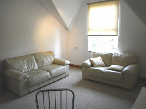 Musters Road - Gallery - 2