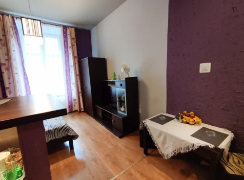 Cosy studio near the Kraków Main Station - Gallery - 9