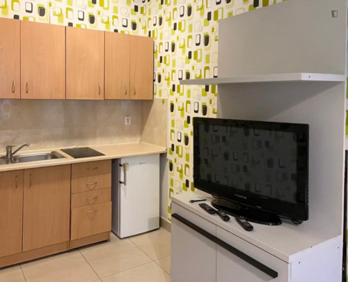 Neat studio near Wawel Castle - Gallery - 8