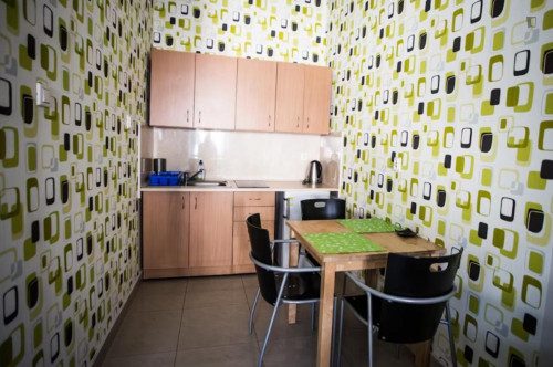 Neat studio near Wawel Castle - Gallery - 11