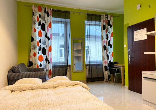 Neat studio near Wawel Castle - Gallery - 6