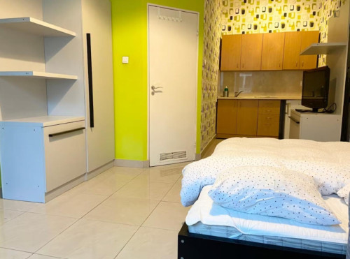 Neat studio near Wawel Castle