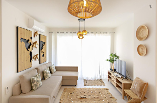 Sunny flat with a modern style