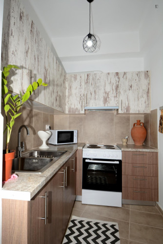 Welcoming 3 Bedroom Apartment close Metaxourgeio Metro