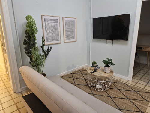 Comfortable apartment near Plaça del Rei