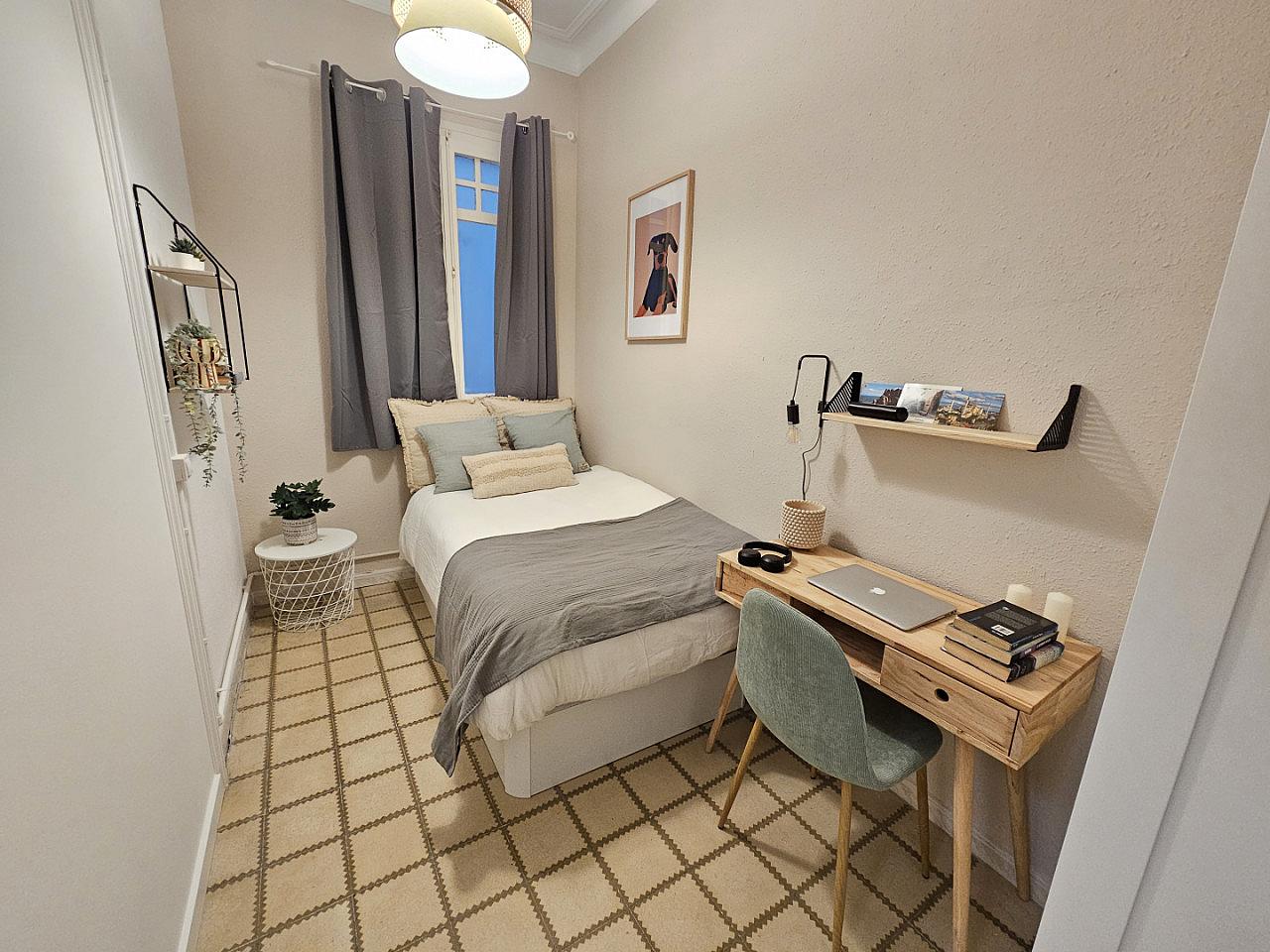  Room 4  -  Comfortable apartment near Plaça del Rei  - Gallery -  19
