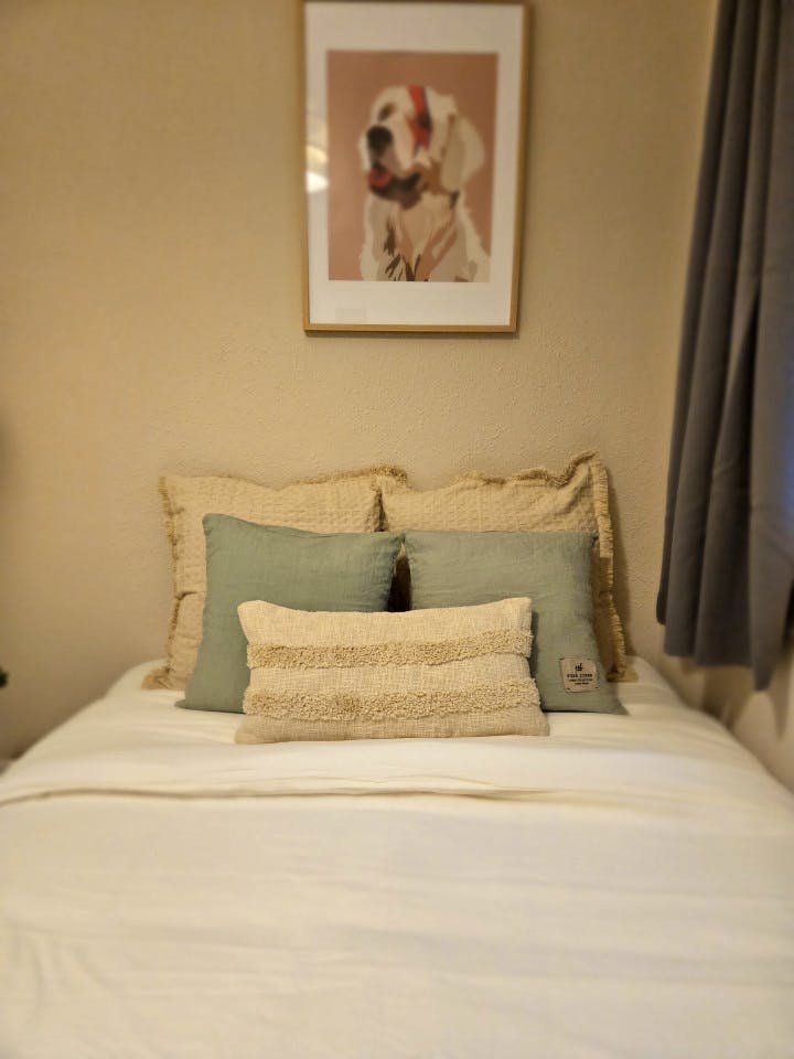  Room 5  -  Comfortable apartment near Plaça del Rei  - Gallery -  17